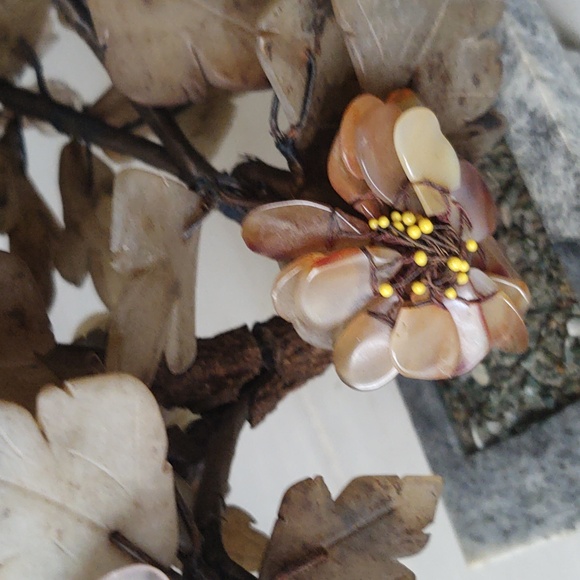 Chinese Bonsai Jade - Picture 6 of 6